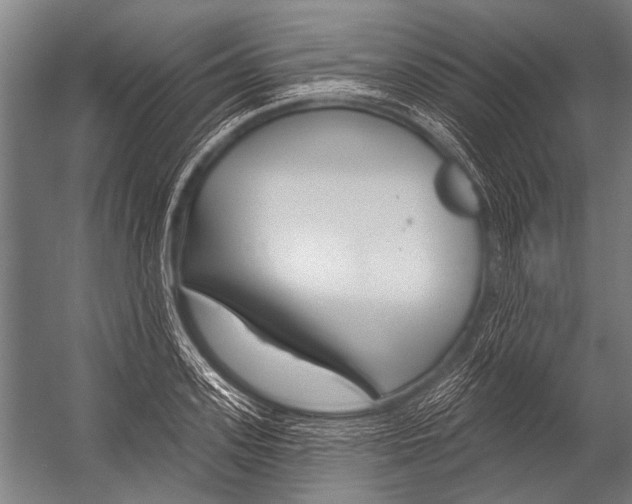 X0000052960939200507300107