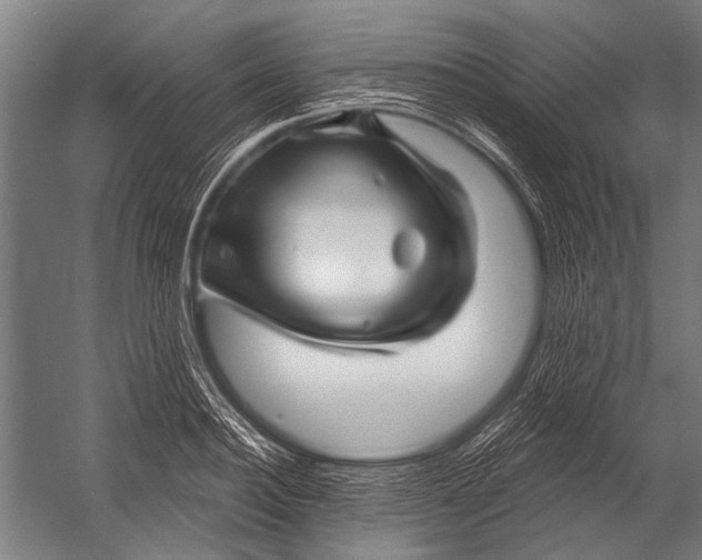X0000052960940200507300107