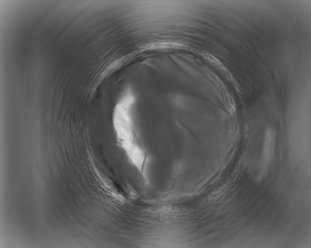 X0000052960945200507300107