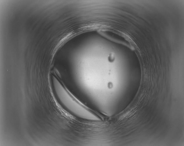 X0000052960946200507300107