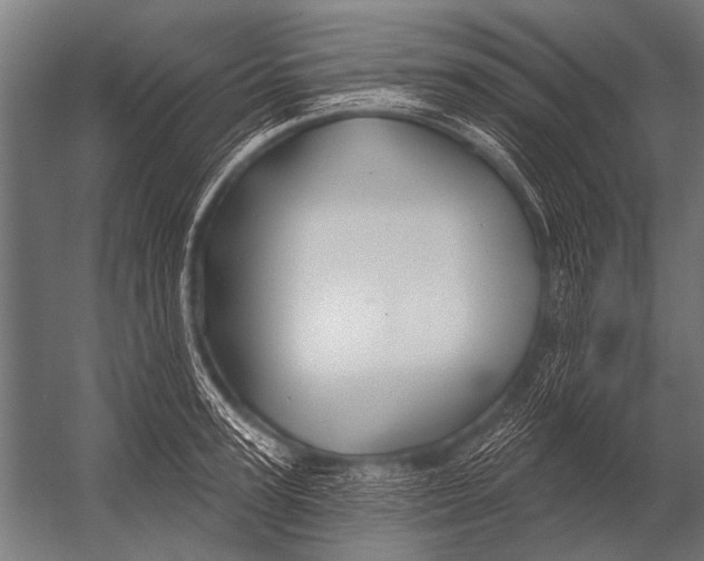 X0000052960947200507300107
