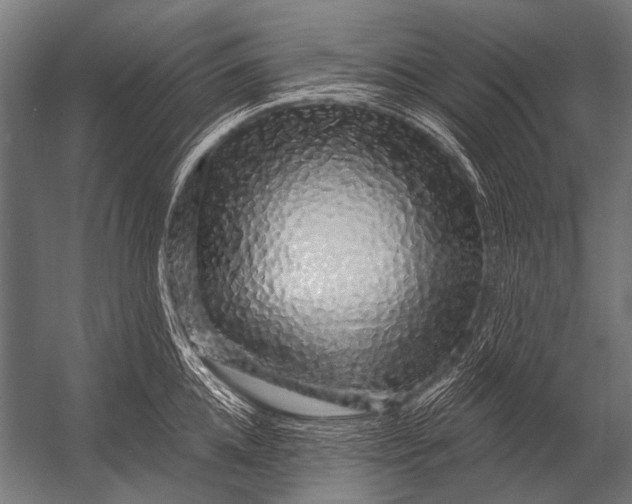 X0000052960952200507300108