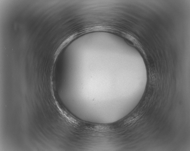 X0000052960954200507300108
