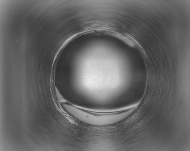 X0000052960956200507300108