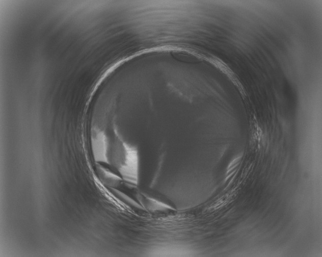 X0000052960958200507300108