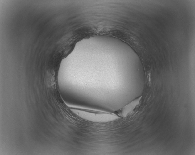 X0000052960963200507300107