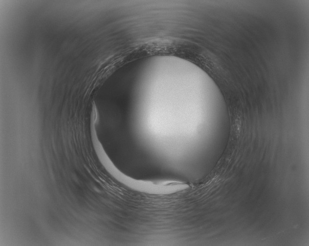 X0000052960964200507300107