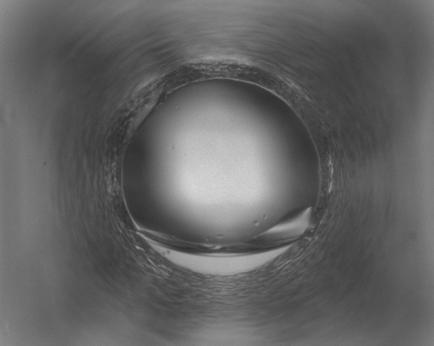 X0000052960965200507300107