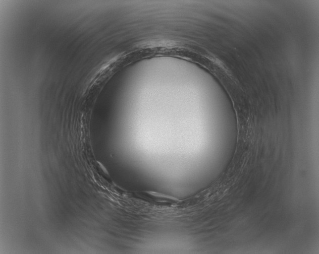 X0000052960967200507300107