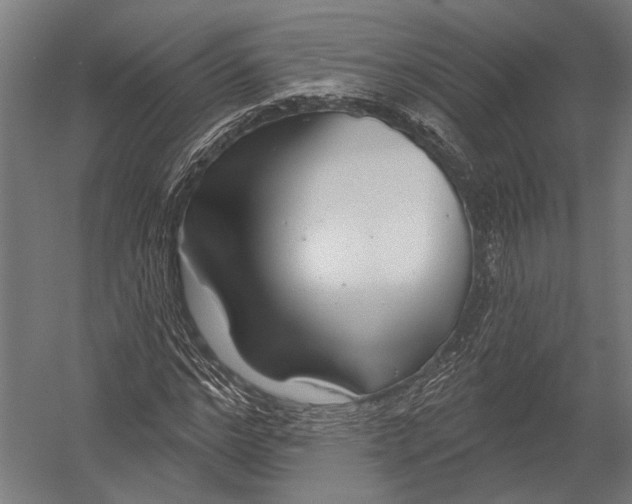 X0000052960968200507300107