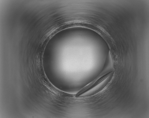 X0000052960969200507300107