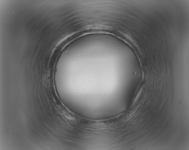 X0000052960971200507300107