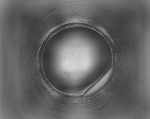 X0000052960972200507300107