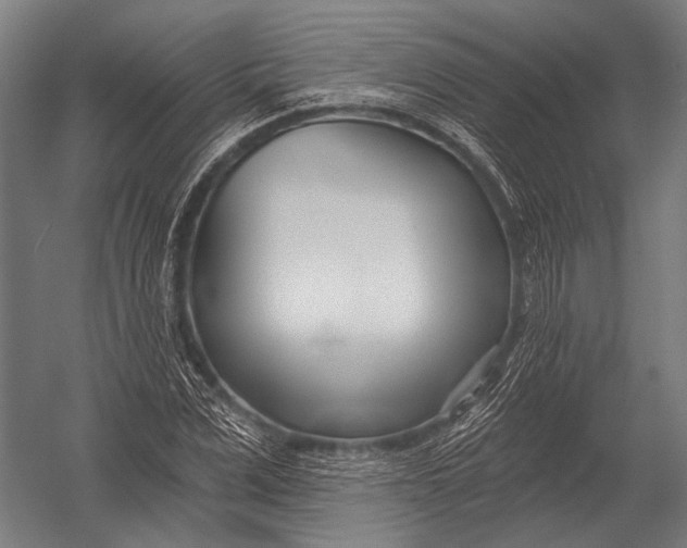 X0000052960975200507300107