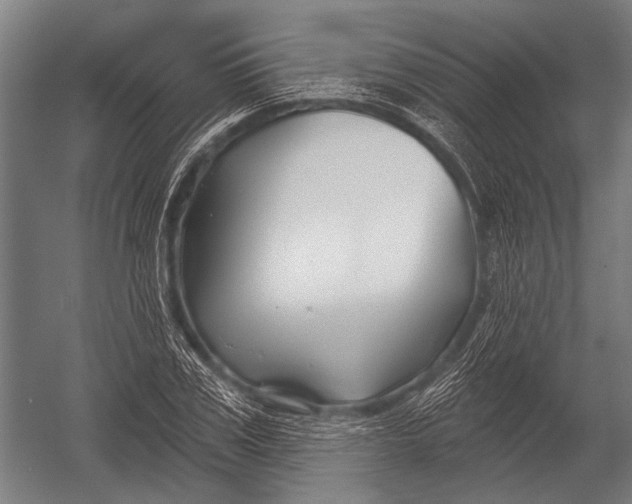 X0000052960979200507300107
