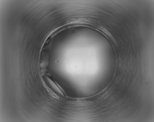 X0000052960980200507300107