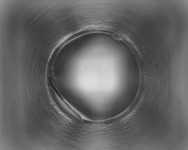 X0000052960981200507300107