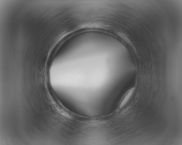 X0000052960984200507300107