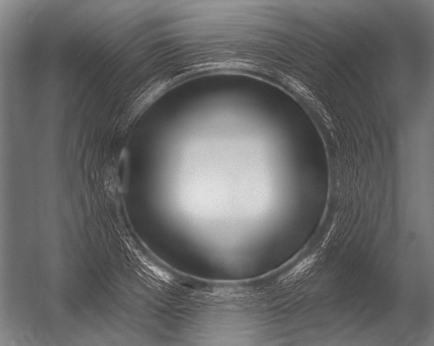 X0000052960985200507300106