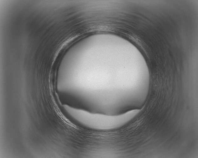 X0000052960987200507300106