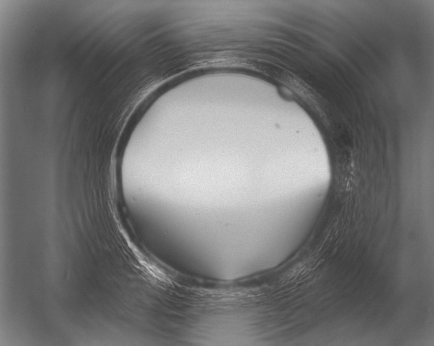 X0000052960988200507300106