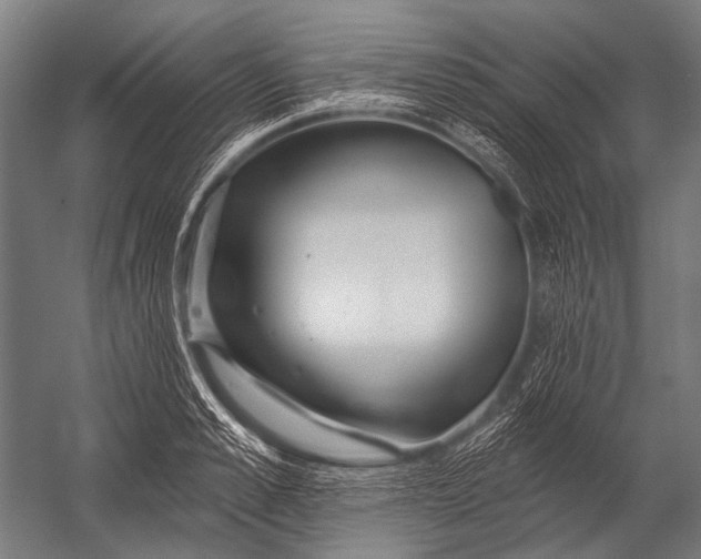 X0000052960989200507300106