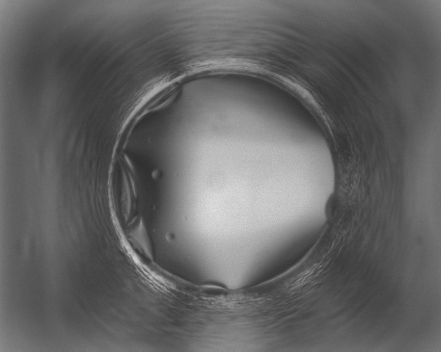 X0000052960999200507300106