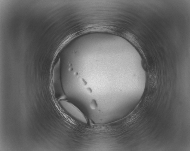 X0000052961002200507300106