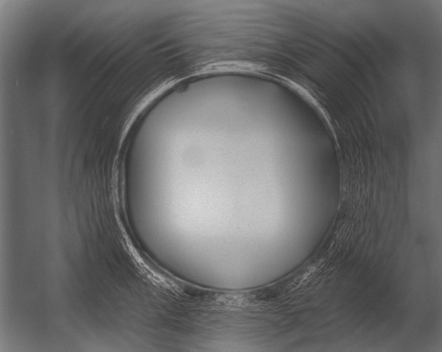 X0000052961003200507300106