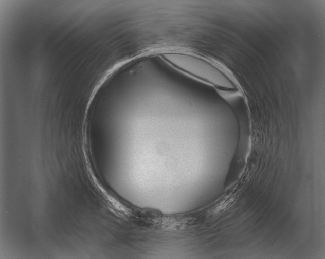 X0000052961005200507300106