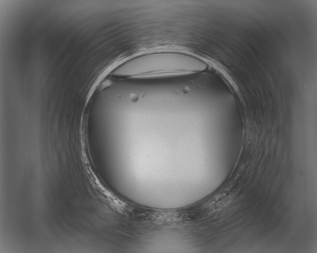 X0000052961006200507300106