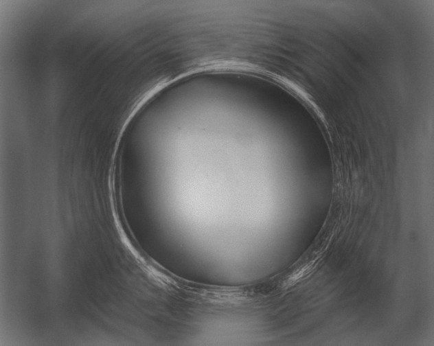 X0000052961007200507300106