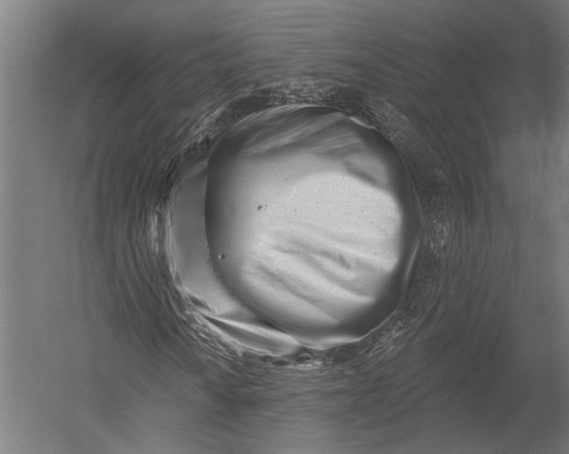 X0000052961010200507300105