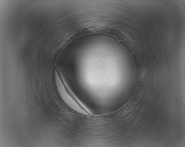 X0000052961012200507300105