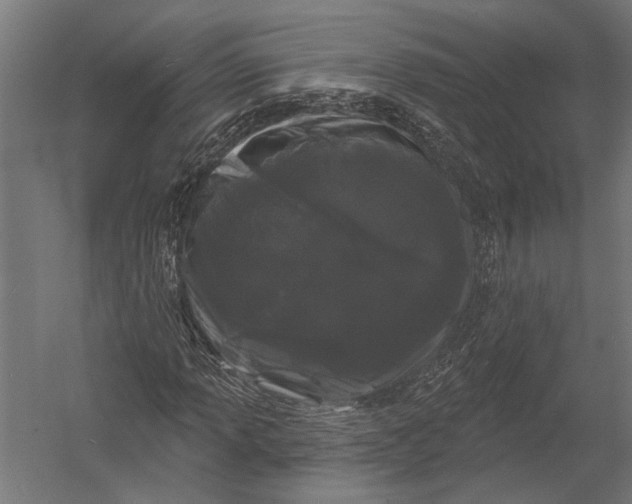 X0000052961013200507300105
