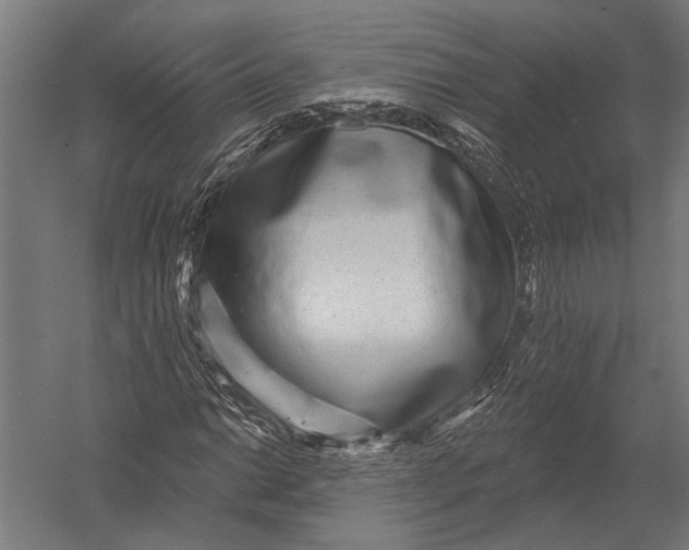 X0000052961014200507300105