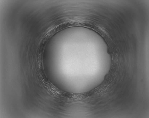 X0000052961015200507300105