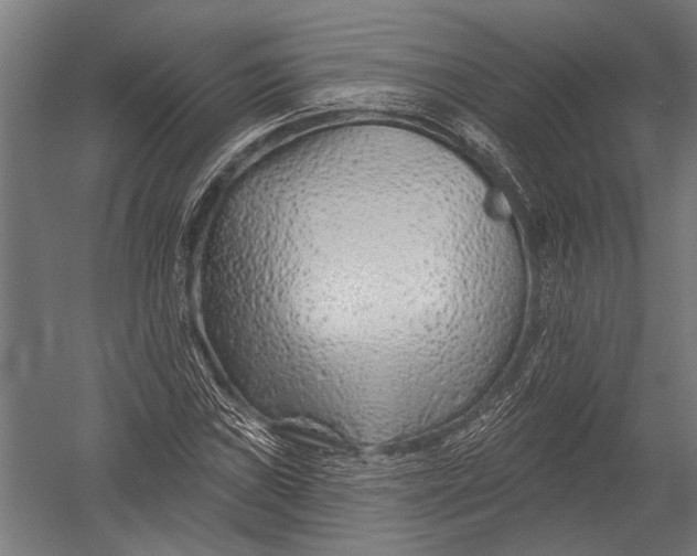 X0000052961019200507300105