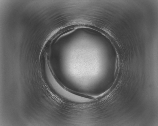 X0000052961022200507300106