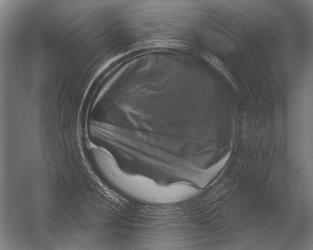 X0000052961024200507300106