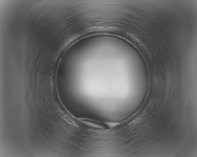 X0000052961025200507300106