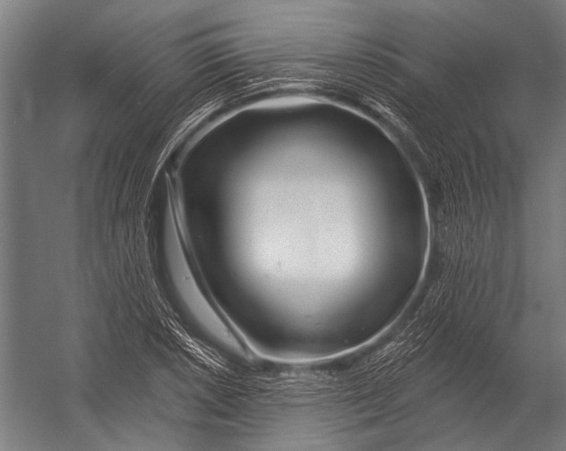 X0000052961026200507300106