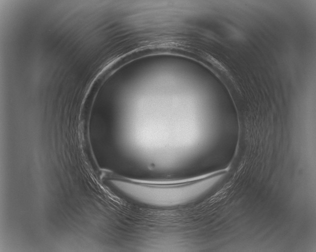 X0000052961029200507300106
