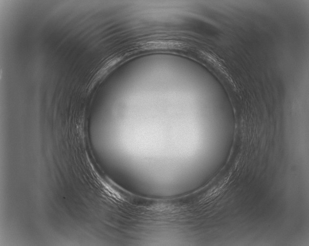 X0000052961033200507300106