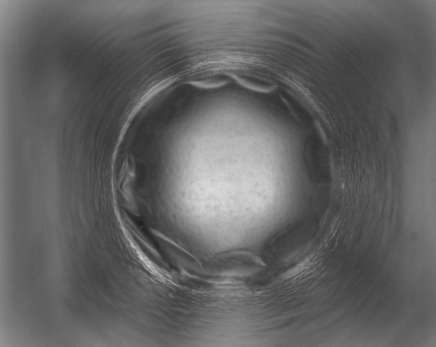 X0000052961034200507300106
