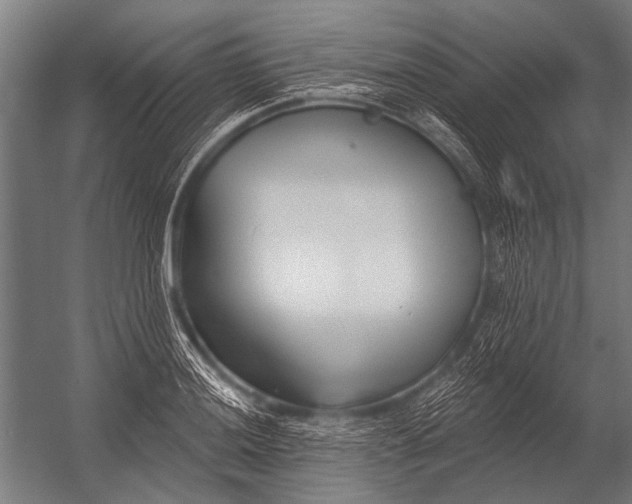X0000052961036200507300106