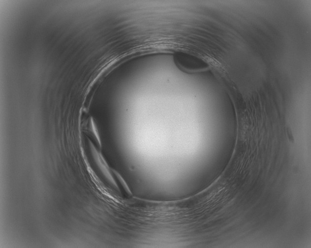 X0000052961039200507300106