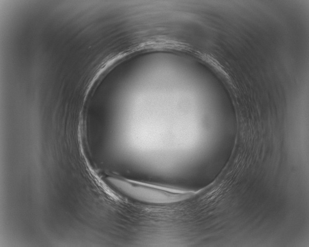 X0000052961040200507300106