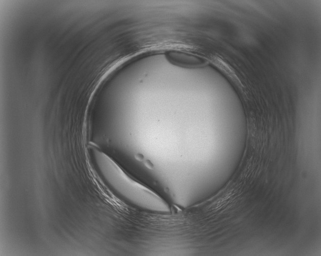 X0000052961044200507300106