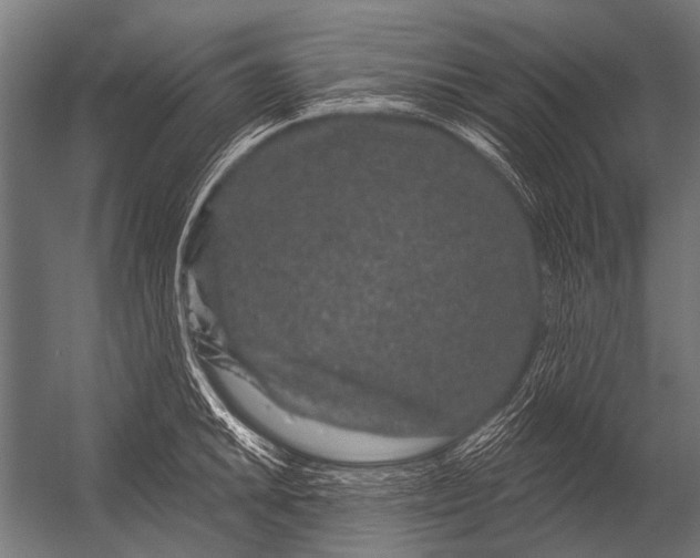 X0000052961046200507300106